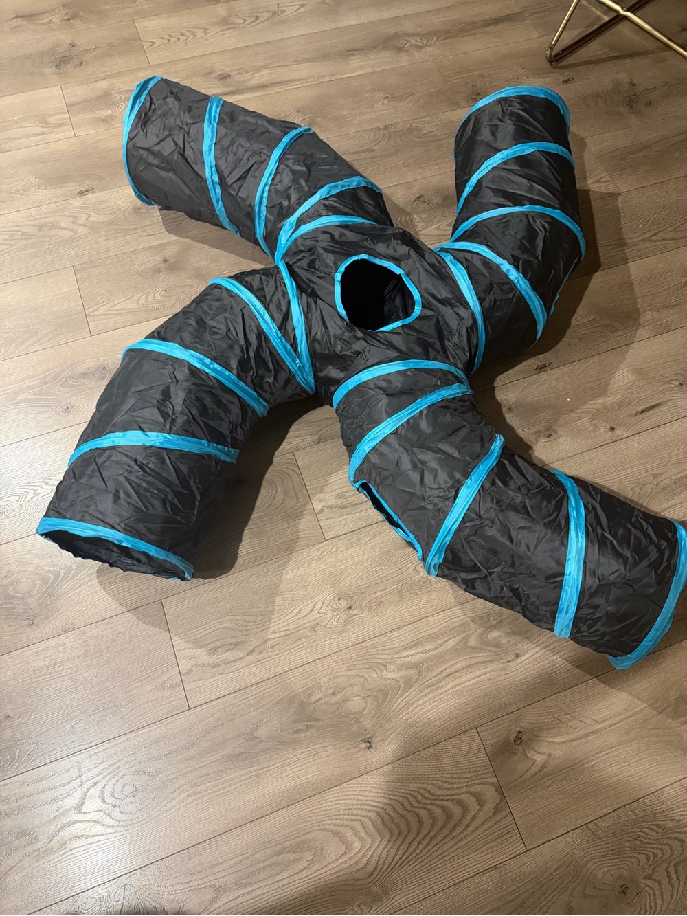 Cat Black and Blue Tunnel Coat - Brand Unspecified NWT